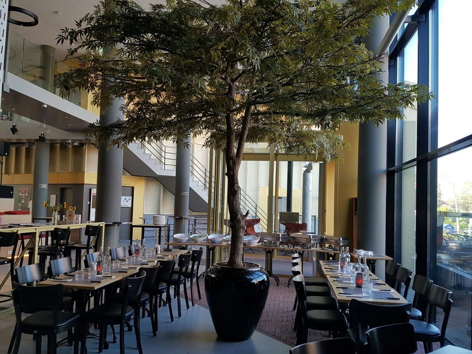 Parasol-esdoorn van 400 cm in een restaurant