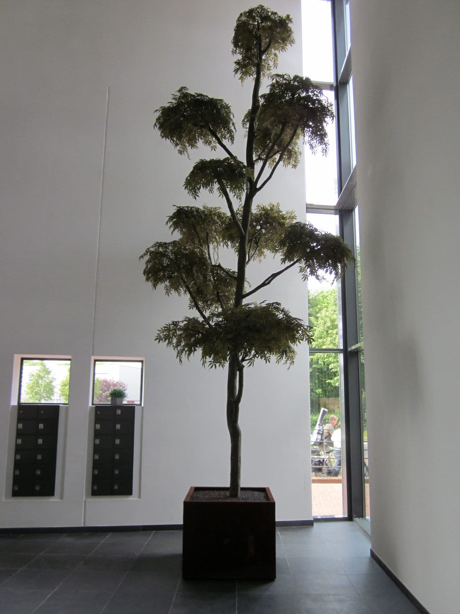 Kunstbomen, foto 14