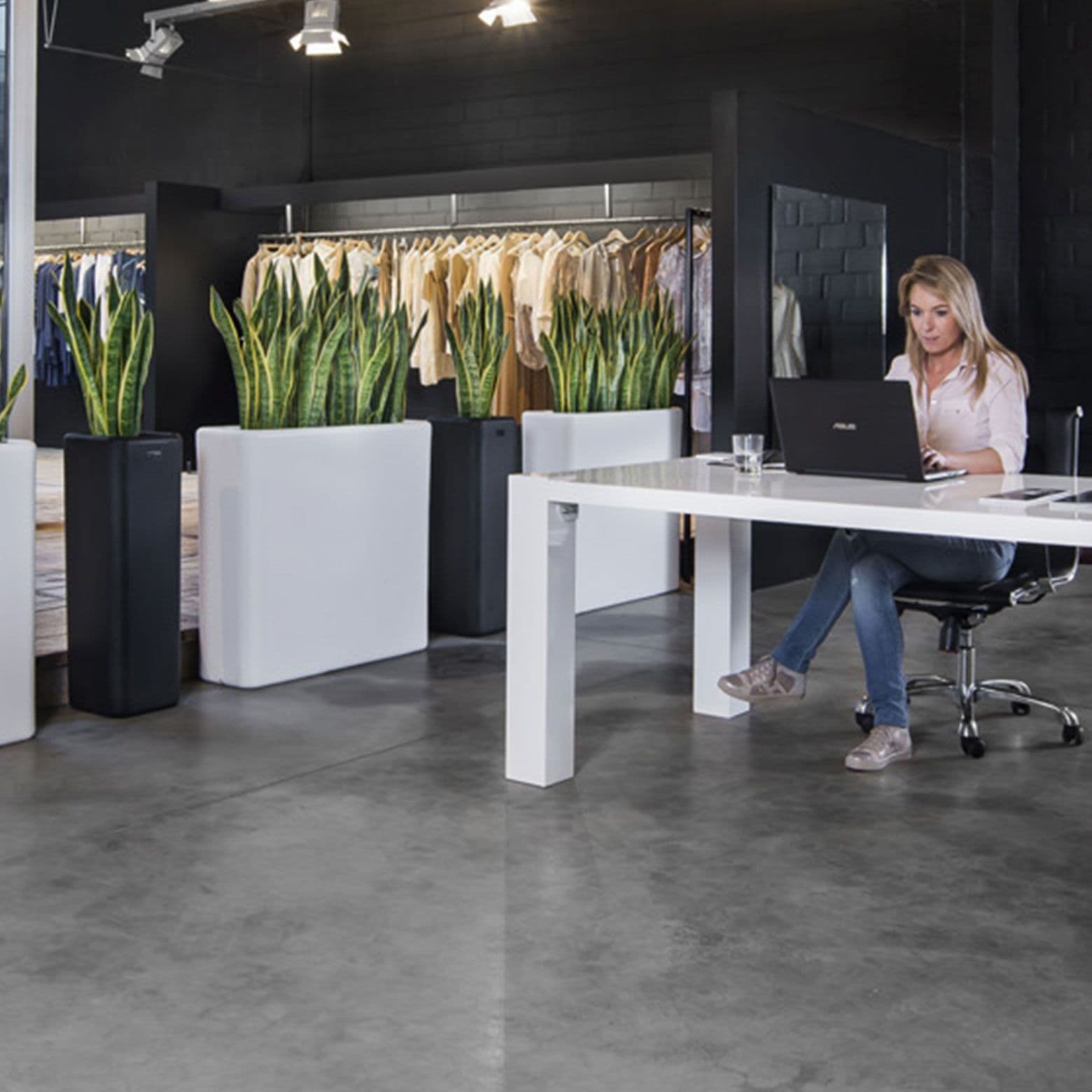 Roomdivider met sansevieria's
