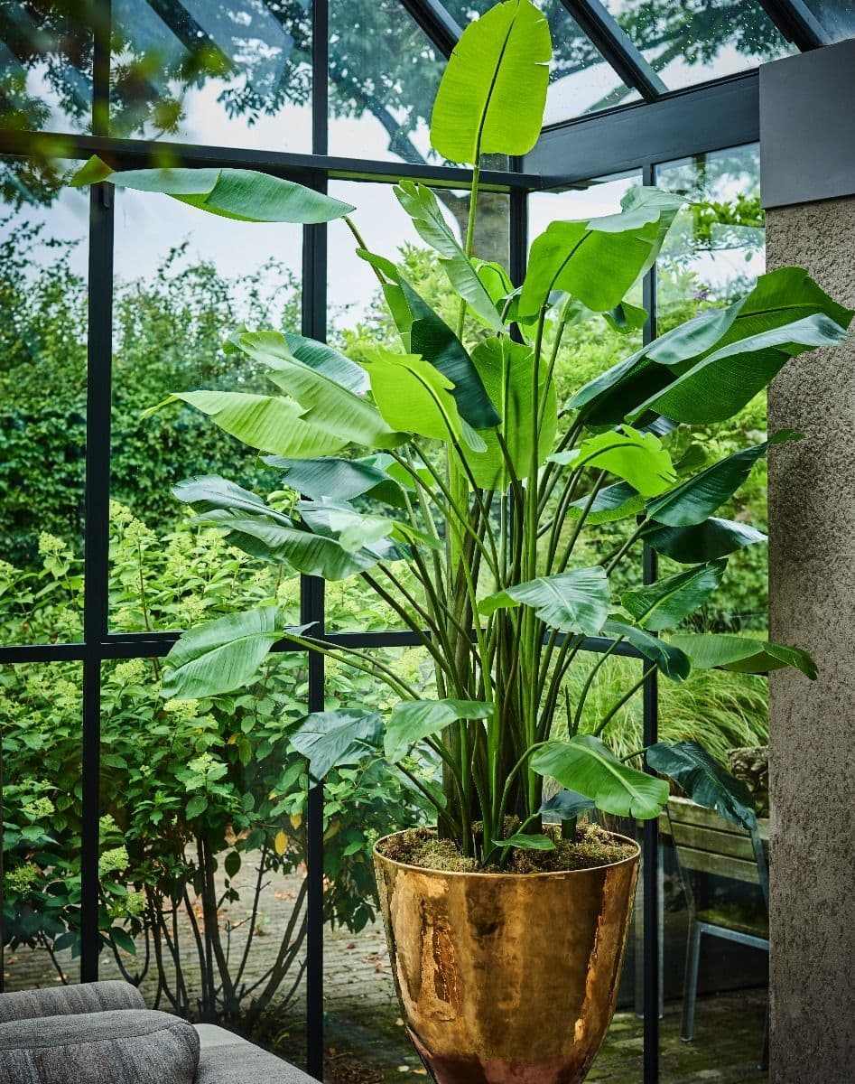 Kunstplanten, foto 3