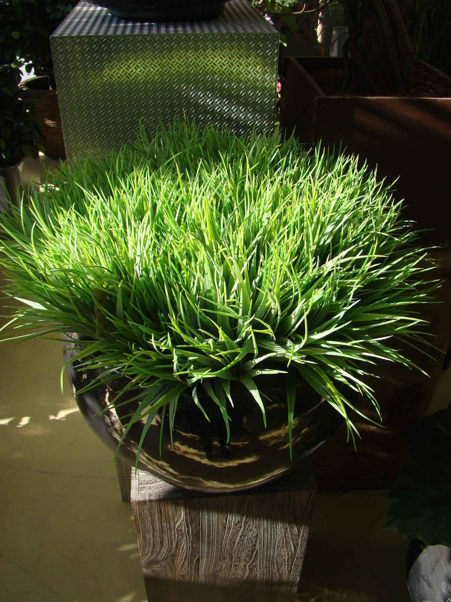 Kunstplanten, foto 11