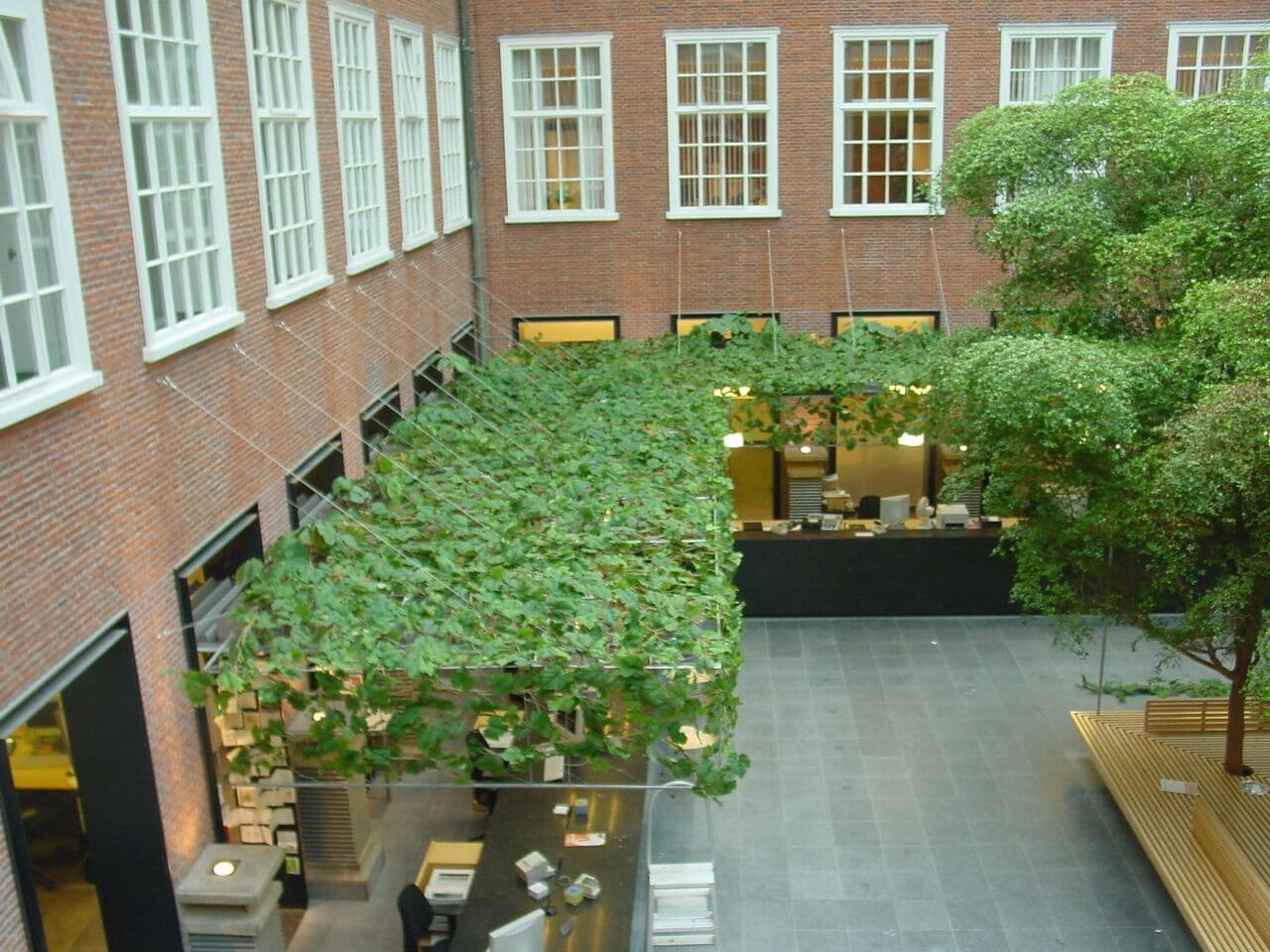 Bladranken boven 14 balies, stadhuis Leiden