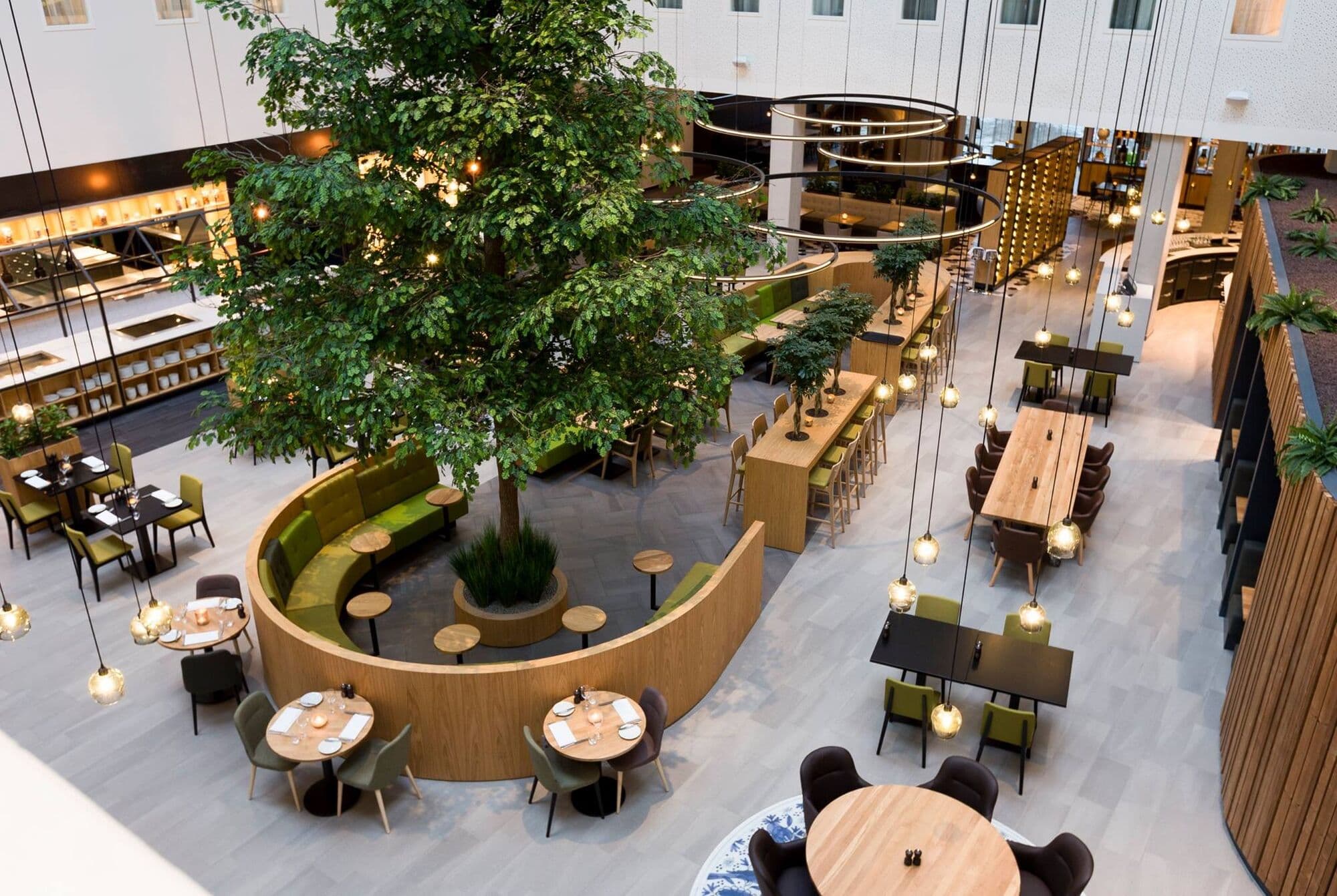 Eik van 8 meter voor Novotel Schiphol, foto 1