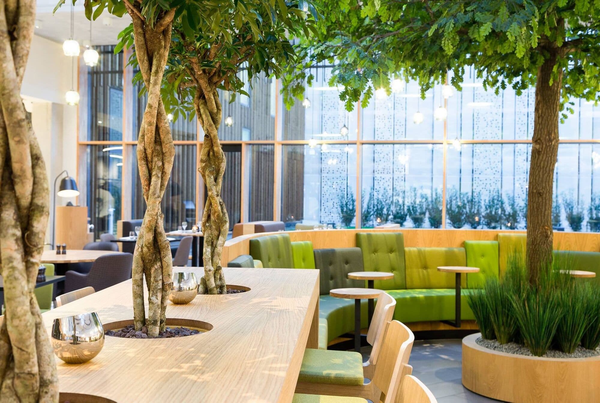 Eik van 8 meter voor Novotel Schiphol, foto 2