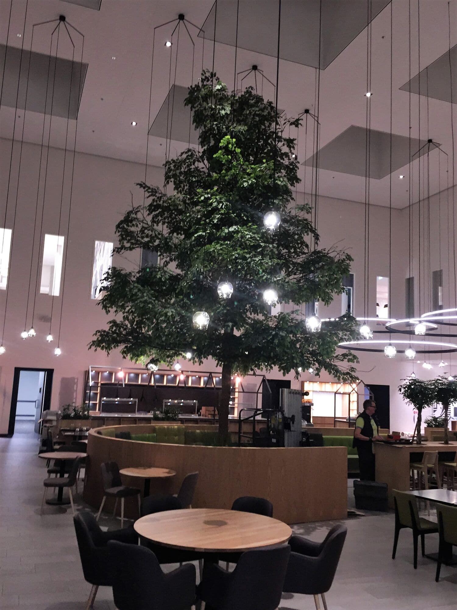Eik van 8 meter voor Novotel Schiphol, foto 5