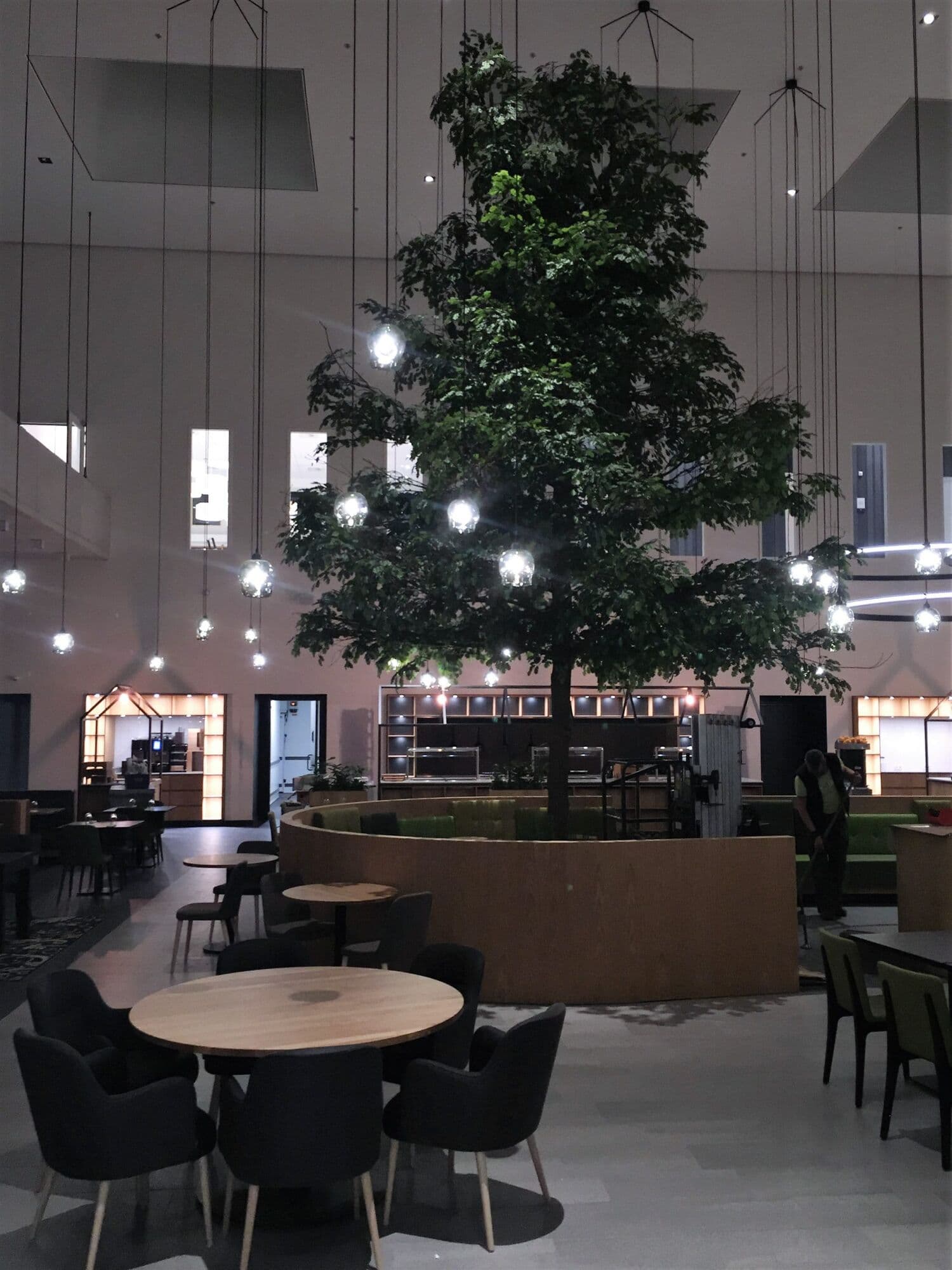 Eik van 8 meter voor Novotel Schiphol, foto 6