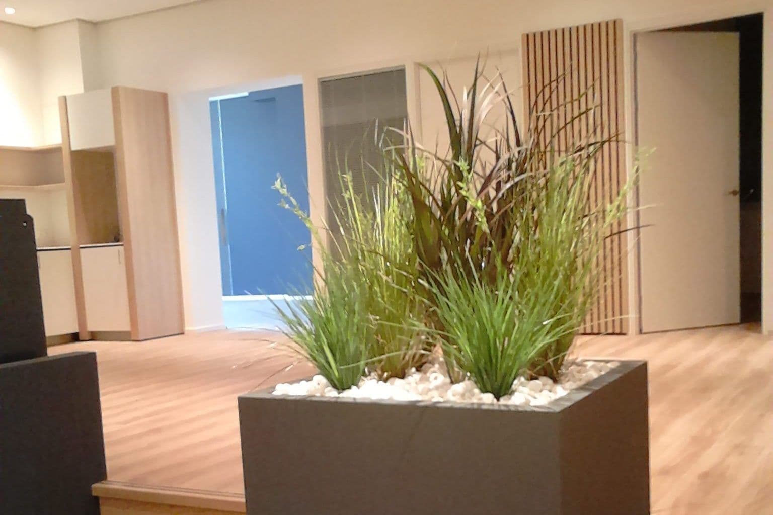 Kunstbeplanting voor Oogkliniek Dordrecht, foto 1