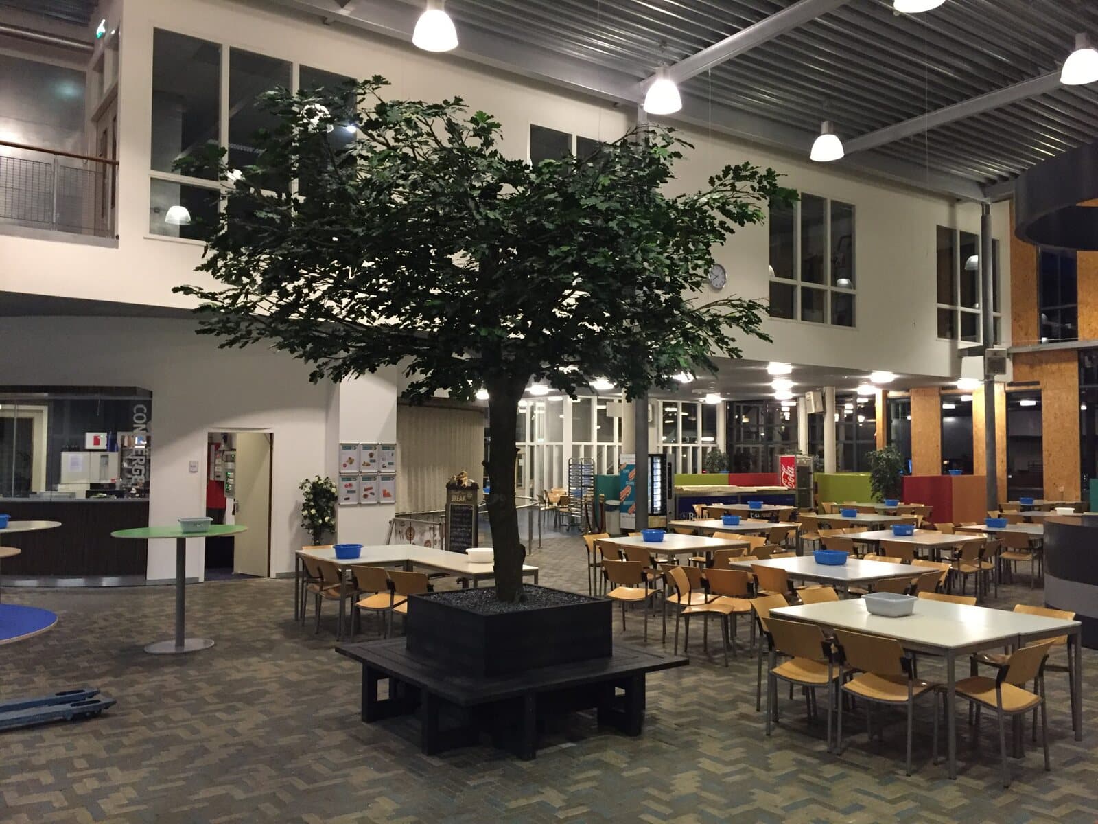 Grote kunstboom met rondbank in een aula